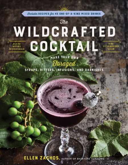media/pim/8_f353d6ec-34e2-4e32-8eca-9dc35a02a5dc.jpeg