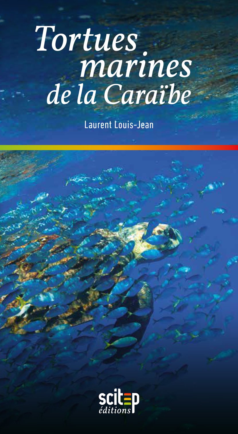 media/pim/8_metadata-image-21033129.png