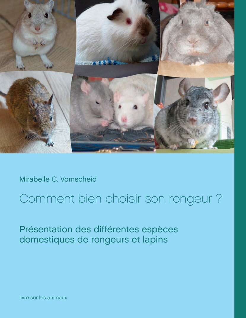 media/pim/8_metadata-image-45066012.jpeg