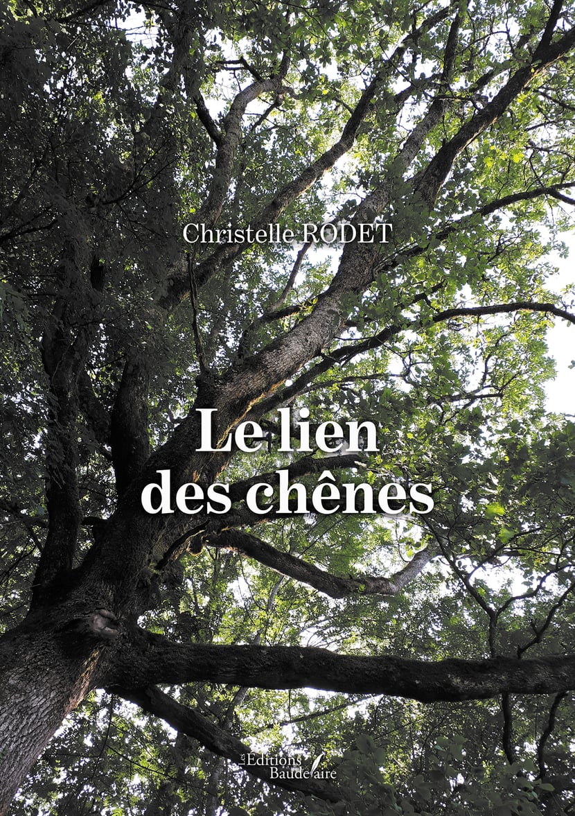 media/pim/8_metadata-image-58208493.png