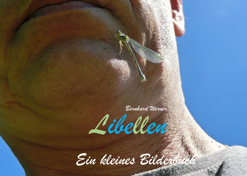 media/pim/8_metadata-image-70966360.jpeg