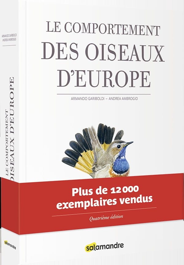 media/pim/910890_image_type_product_shot_DILISCO_1_FR_4448c