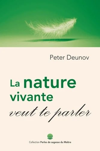 media/pim/9781684536382.jpg