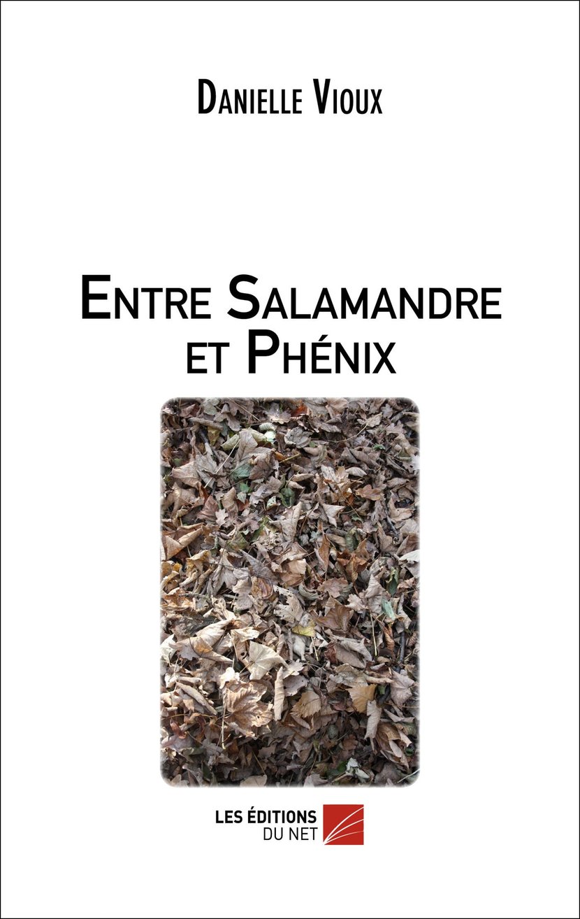 media/pim/9782312017655.jpg