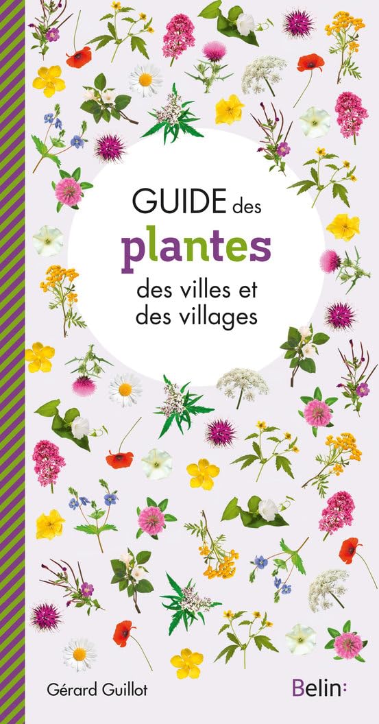 Guide des plantes des villes et villages : Grard Guillot | Cultura