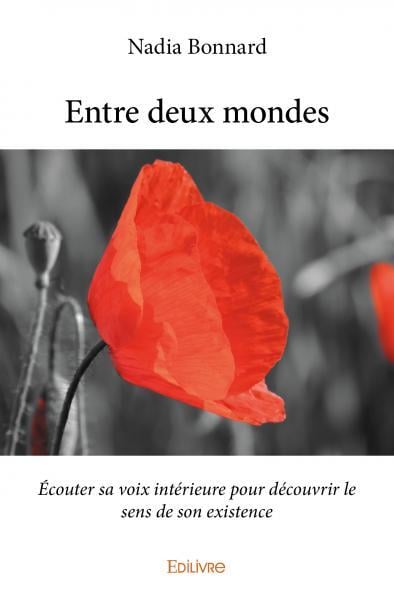 media/pim/9782414192960.jpg