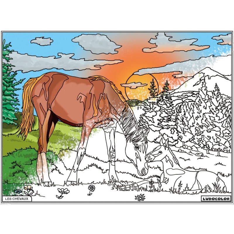 Tableau de décoration : Cheval et jument