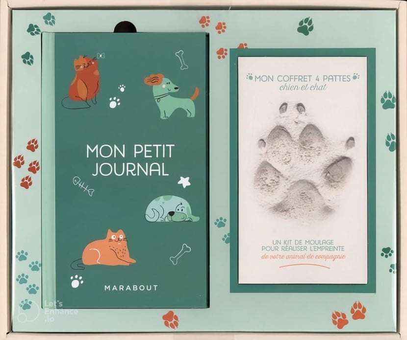 Kit de souvenirs à empreintes de pattes d'animaux de compagnie