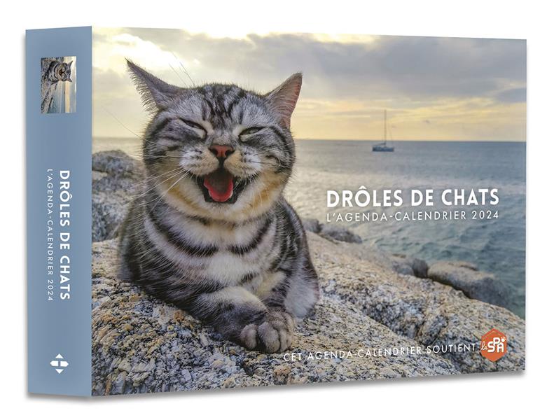 Calendrier 2024 - Chats