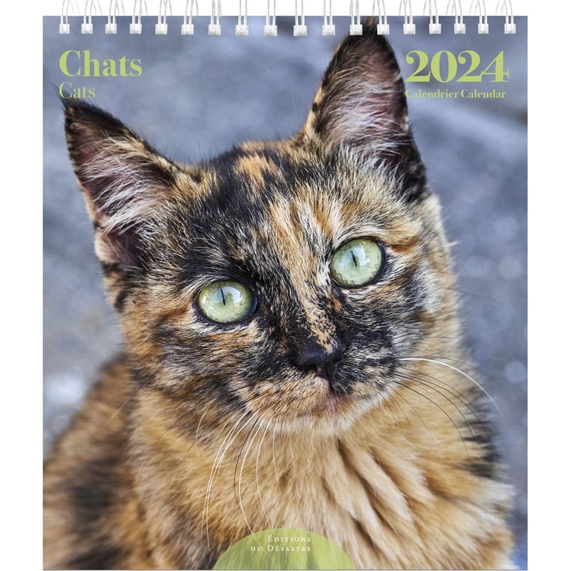 Mini Calendrier - 2024 - Editions du Désastre - 12 mois - Chats -  Calendriers 2023 - Agendas - Calendriers