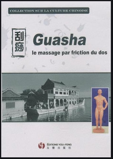 media/pim/9782842794132.jpg