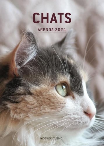 Calendrier 2024 avec des chats à imprimer –