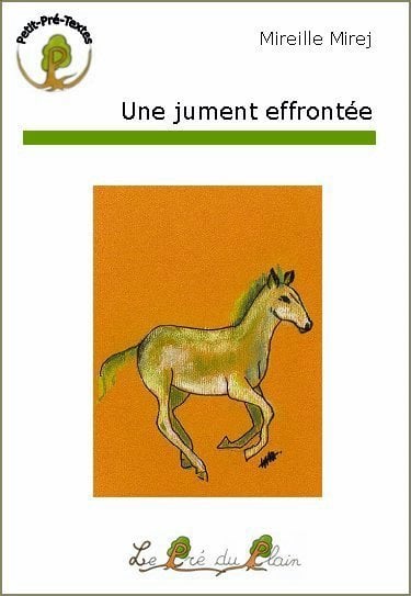 media/pim/9782915355253.jpg