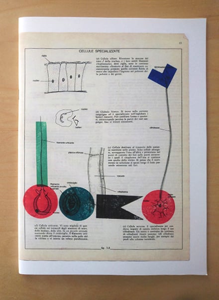 media/pim/9782919289479.jpg
