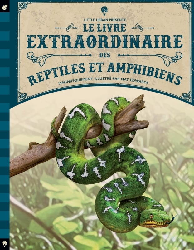media/pim/990697_image_type_product_shot_MDS_1_FR_e0635