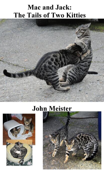 media/pim/9_1b67d00d-5c86-48d4-b14d-c8b71e8e0722.jpeg