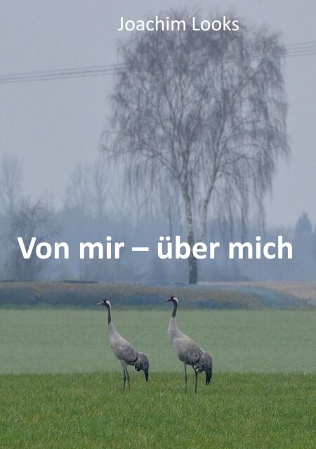 media/pim/9_38e9517d-cdd7-45b4-97b5-57eaf87021fa.jpeg