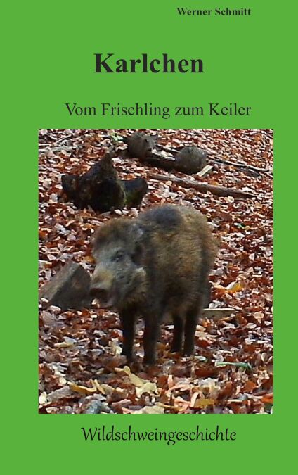 media/pim/9_6d5219ce-2d8c-44fb-9eba-61393943f6b5.jpeg