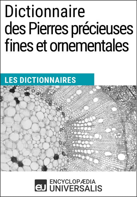 media/pim/9_7a94b48f-7993-4b31-87f2-a8971e5e9a59.jpeg
