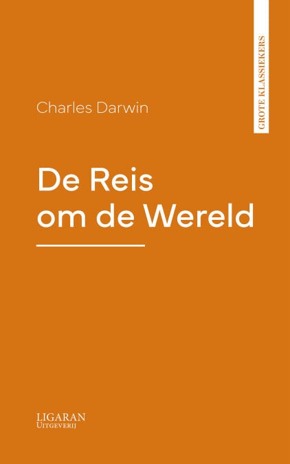 media/pim/9_c3cd05d4-c006-42f6-996d-e3a317964274.jpeg