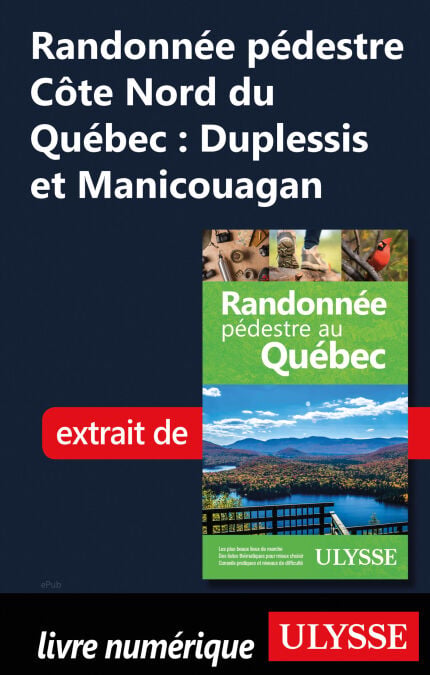media/pim/9_d5715512-a2f6-46de-a4a7-145ff8f95be7.jpeg