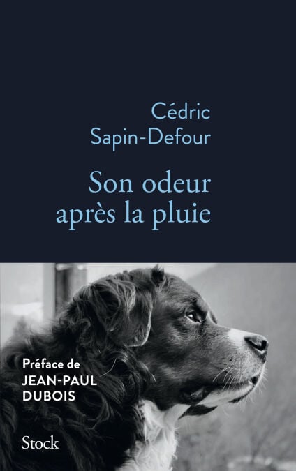media/pim/9_d64cbb55-e106-4fb8-88f7-2bf8ee0342e4.jpeg