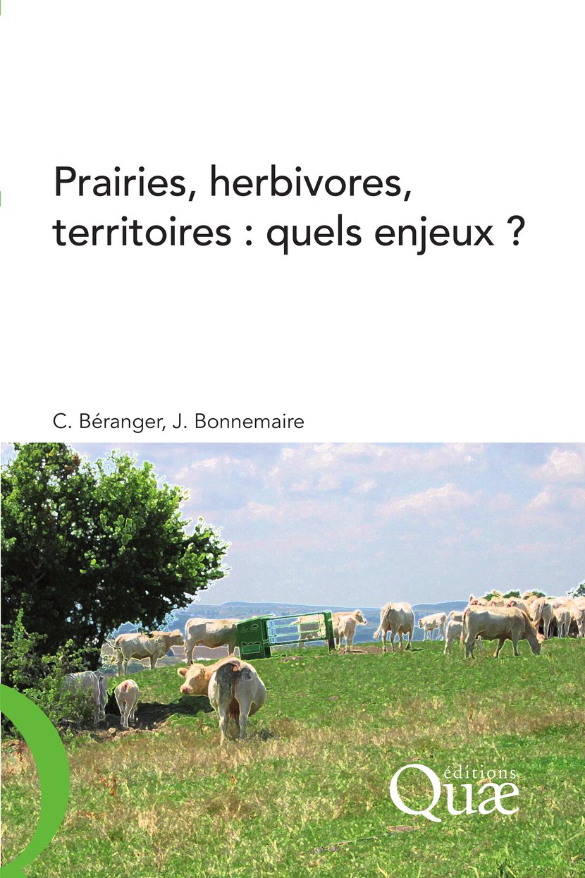media/pim/9_metadata-image-1012006.png