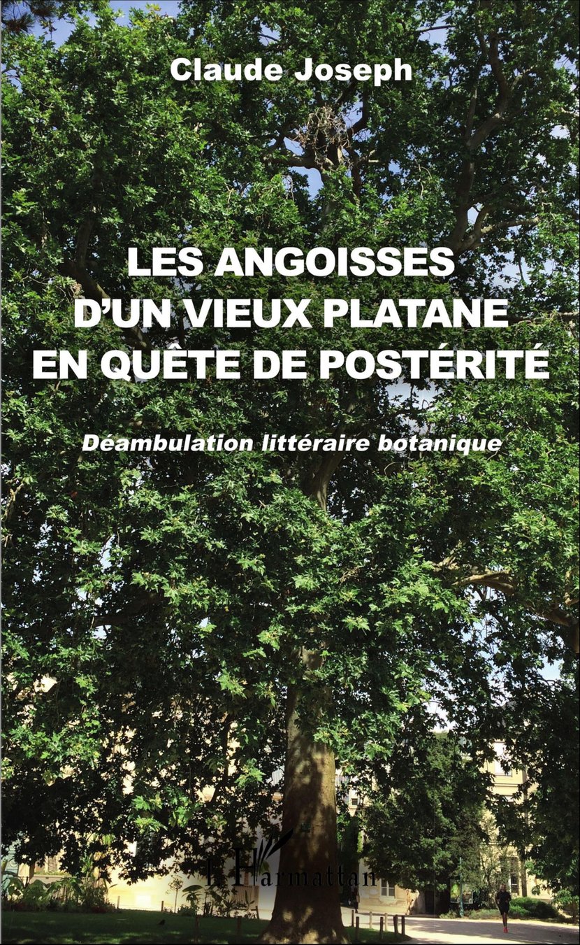 media/pim/9_metadata-image-12110133.jpeg