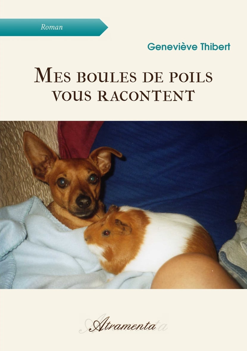 media/pim/9_metadata-image-21404259.png