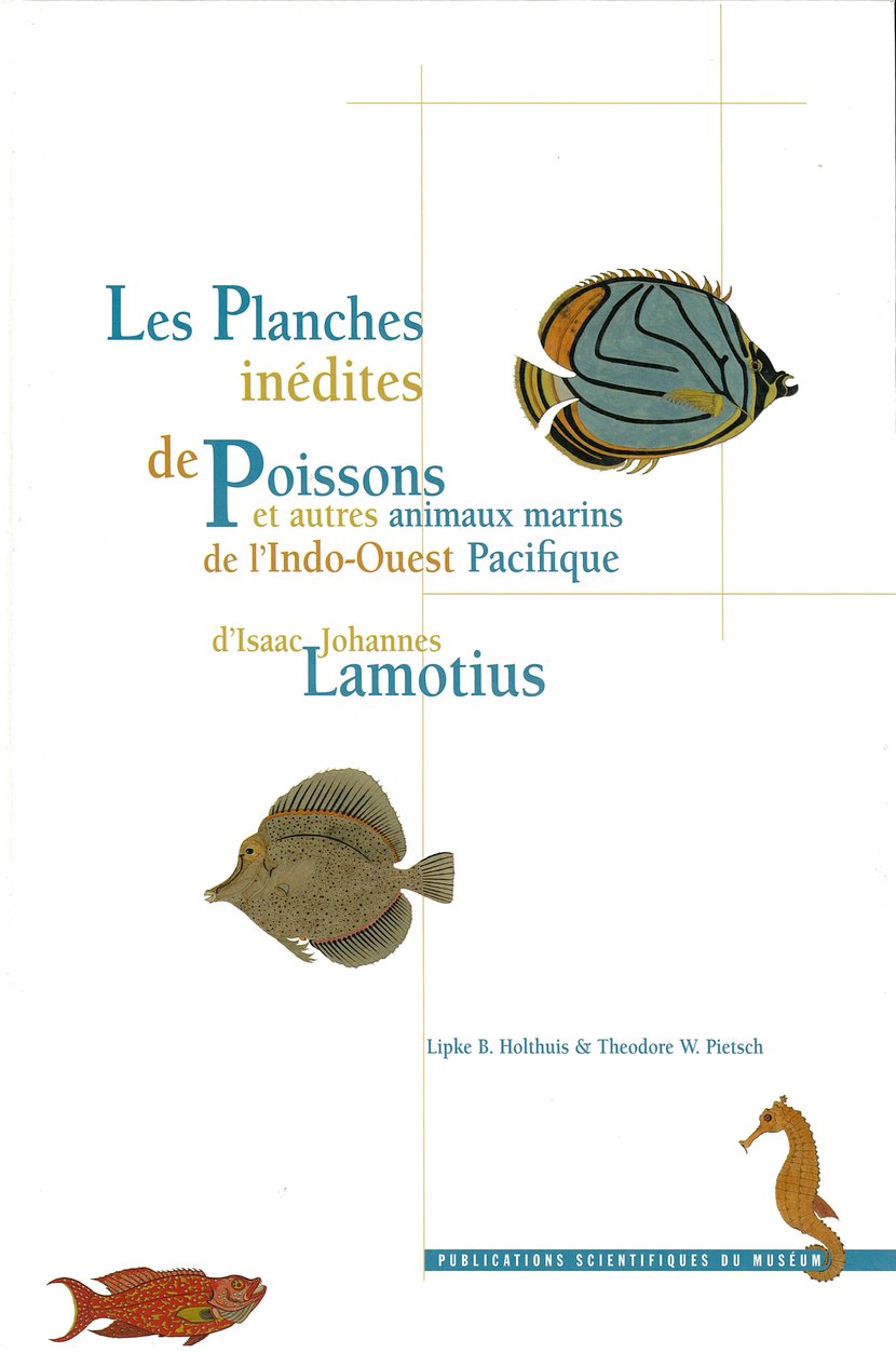 media/pim/9_metadata-image-34621684.png
