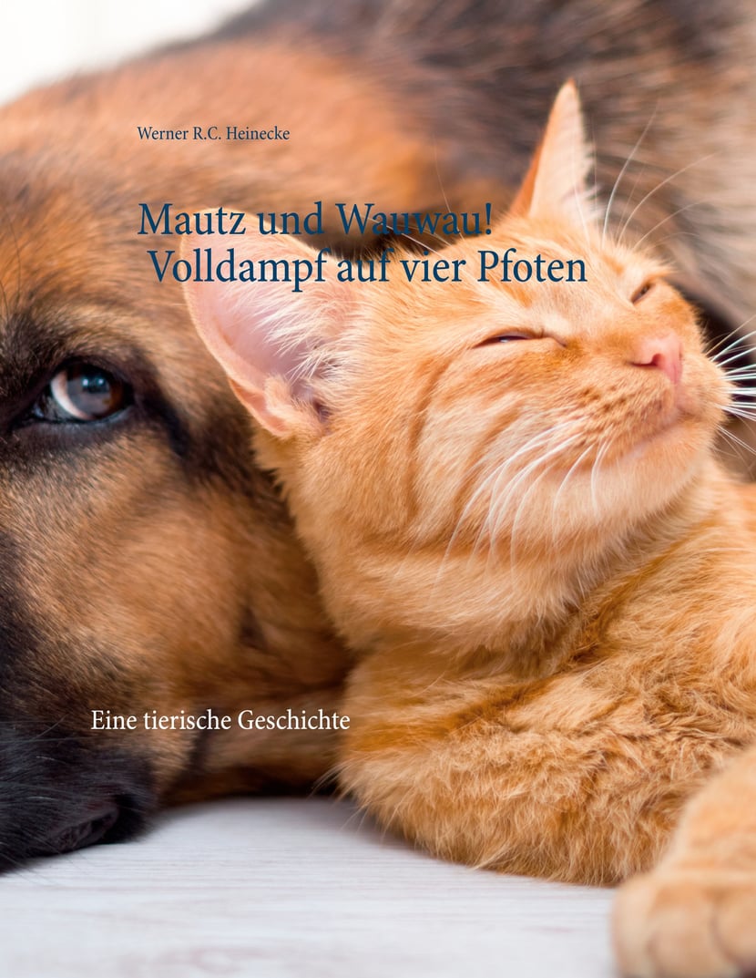 media/pim/9_metadata-image-44040865.jpeg