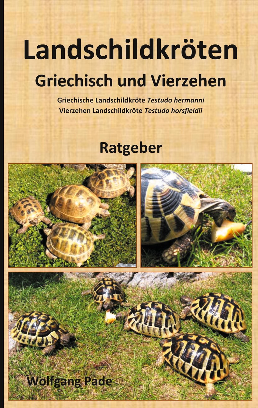 media/pim/9_metadata-image-47473753.jpeg
