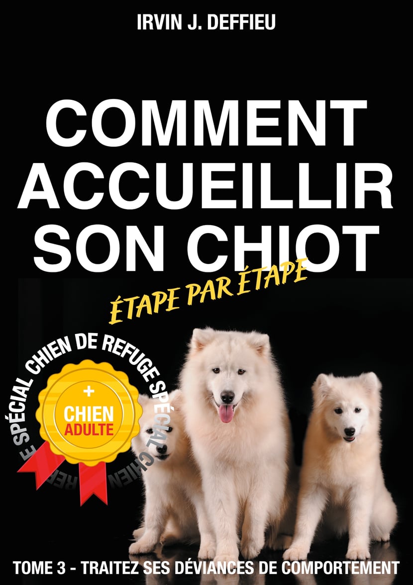 media/pim/9_metadata-image-49845012.jpeg