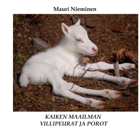 media/pim/9_metadata-image-57771361.jpeg