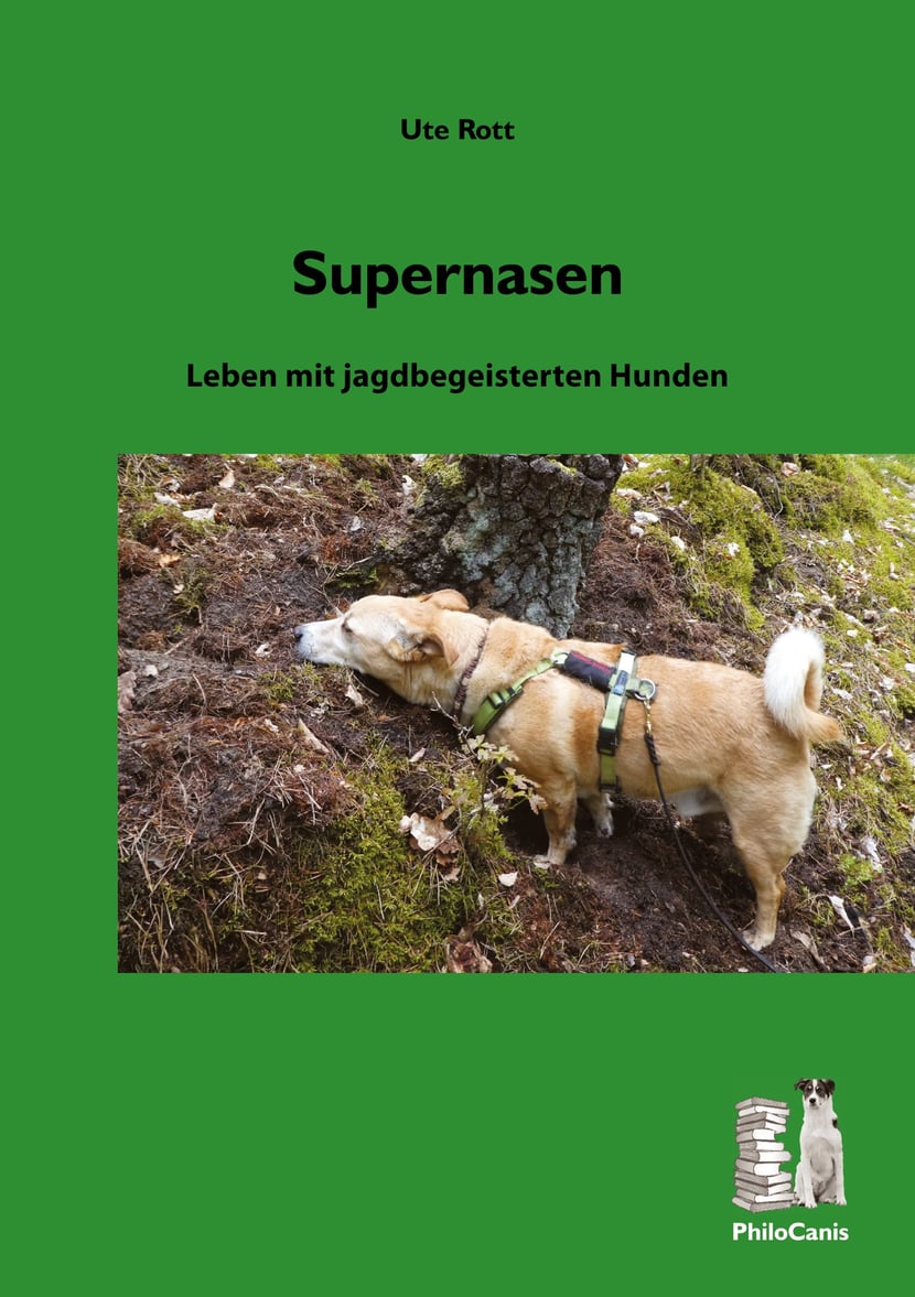 media/pim/9_metadata-image-60176582.jpeg