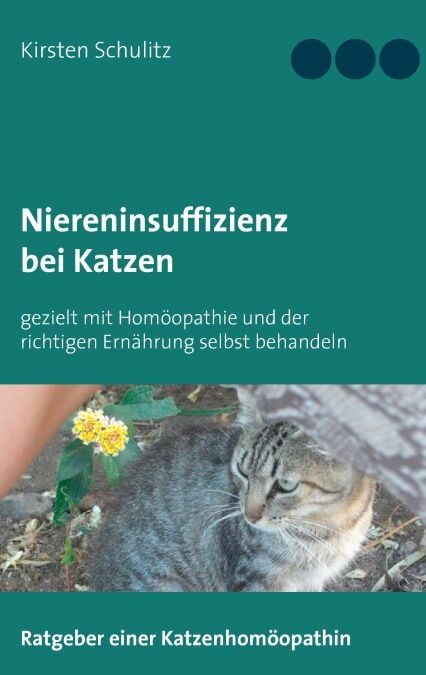 media/pim/9_metadata-image-70965934.jpeg