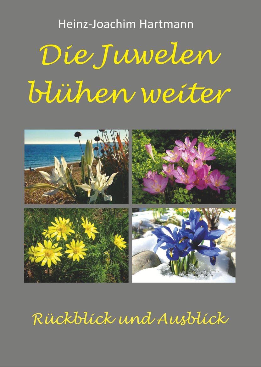 media/pim/9_metadata-image-70982964.jpeg