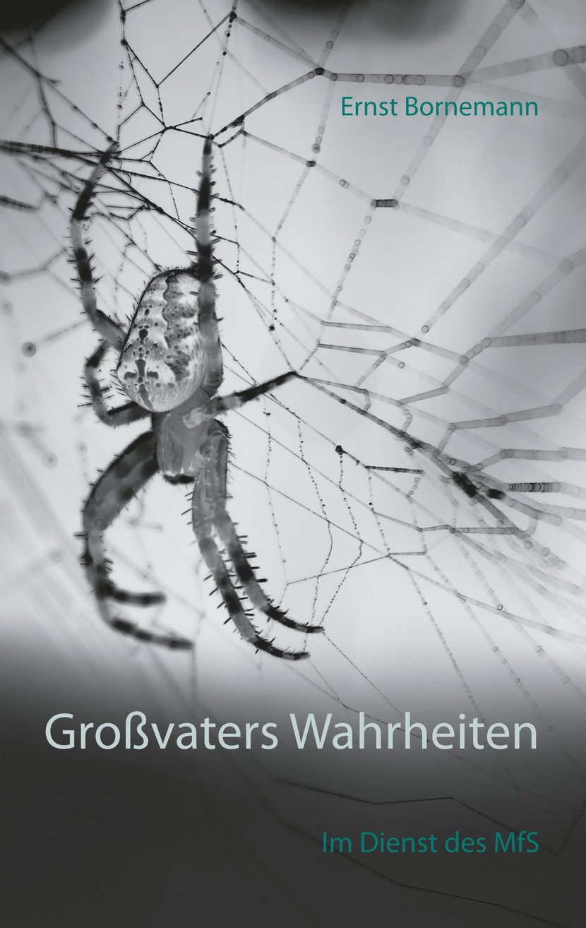 media/pim/9_metadata-image-70989582.jpeg