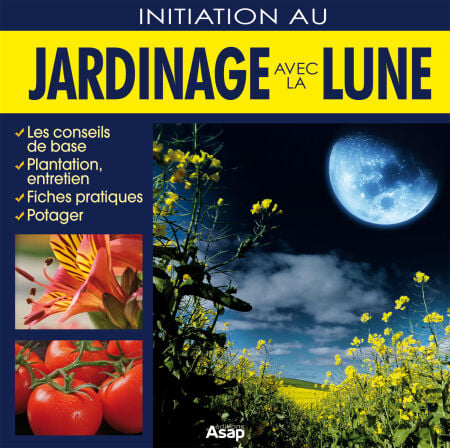 media/pim/9_metadata-image-74330632.jpeg