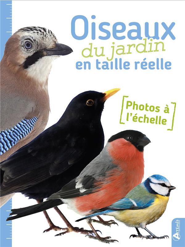 media/pim/TITELIVE/0_9782816011579_1_75.jpg