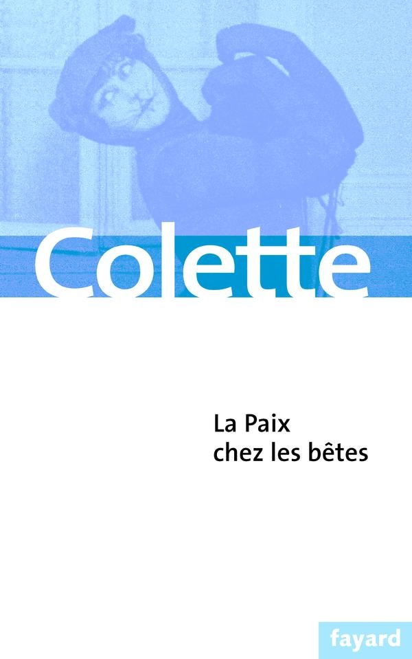 media/pim/TITELIVE/10_9782213618548_1_75.jpg