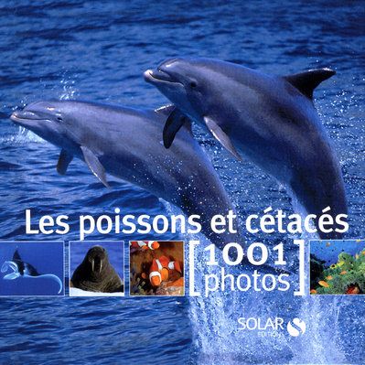 media/pim/TITELIVE/10_9782263049040_1_75.jpg