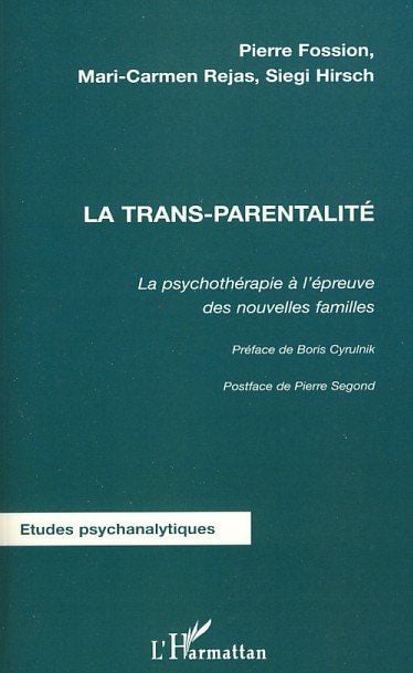 media/pim/TITELIVE/10_9782296065949_1_75.jpg