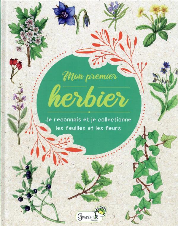 Herbier mural en papier – Les beaux jours