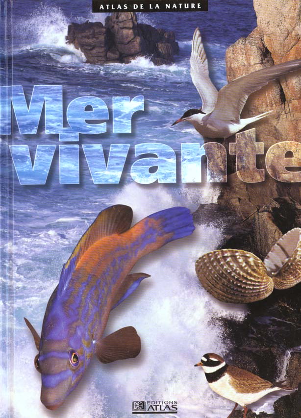 media/pim/TITELIVE/10_9782731223545_1_75.jpg