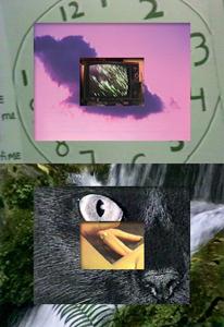 media/pim/TITELIVE/10_9783956790232_1_75.jpg