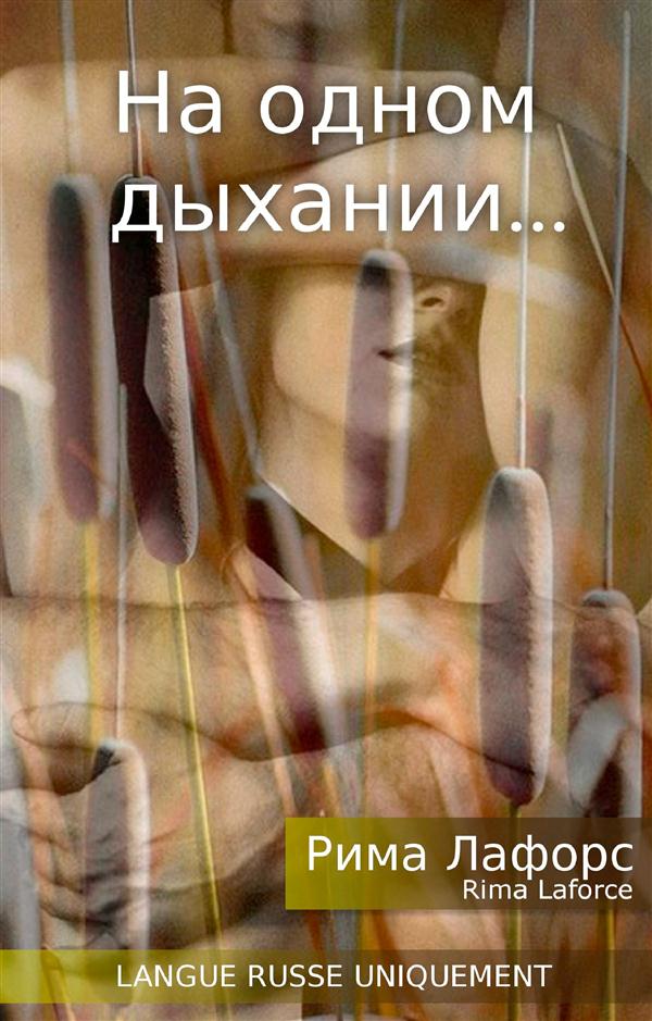 media/pim/TITELIVE/11_9782322037421_1_75.jpg