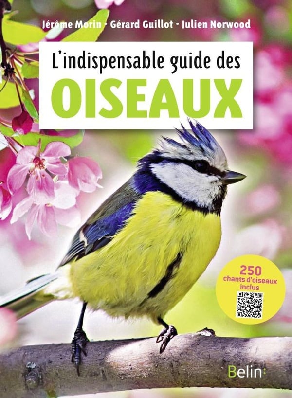 media/pim/TITELIVE/11_9782410016529_1_75.jpg