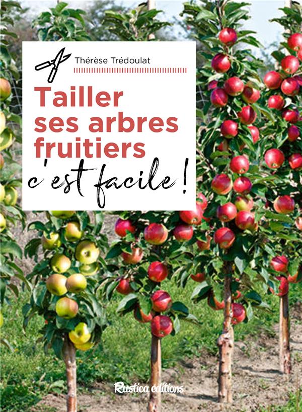 Arbre Fruitier Extérieur Dans Le Domaine Image stock - Image du