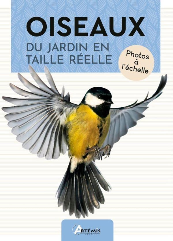 media/pim/TITELIVE/11_9782816023732_1_75.jpg